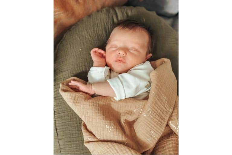 Housse de coussin d'allaitement Relax Bronze